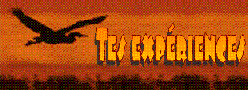 bird.gif (9959 octets)