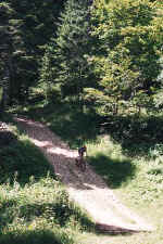 Le plateau de Gve