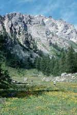 montagne6.jpg (20325 octets)